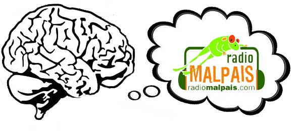 Leia mais sobre o artigo BRAINSTRUME #1 – A ótima descoberta chamada Rádio Malpaís.