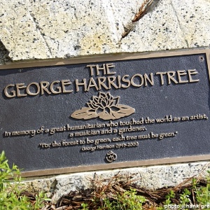 Você está visualizando atualmente George Harrison e a Dupla Ironia Post Mortem